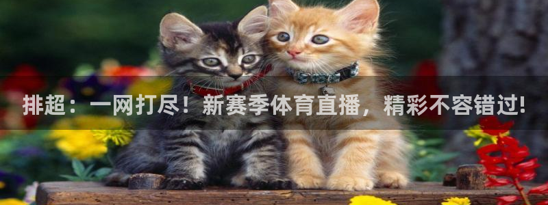 so米体育赛事：排超：一网打尽！新赛季体育直播，精彩不容错过!