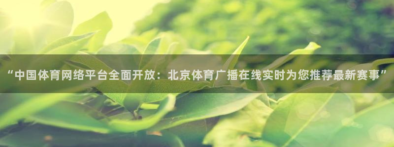 so米体育直播间在线观看：“中国体育网络平台全面开放：北京体育广播在线实时为您推荐最新赛事”