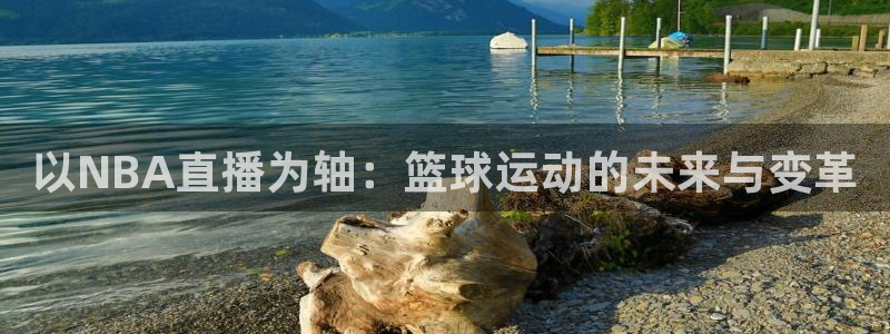 so米体育赛事直播：以NBA直播为轴：篮球运动的未来与变革